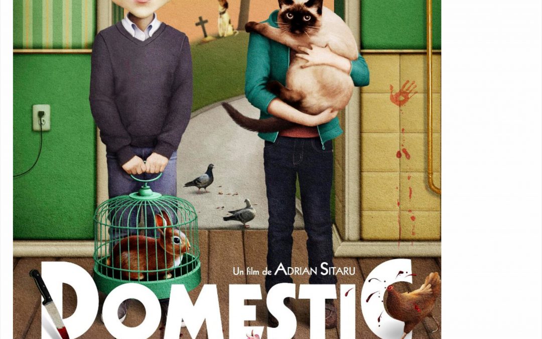 Cinemateca Pseudokinematikos. Între viață și filme: #1Proiecția filmului Domestic, în regia lui Adrian Sitaru