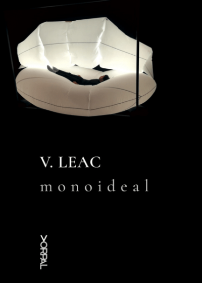 Vasile Leac Monoideal