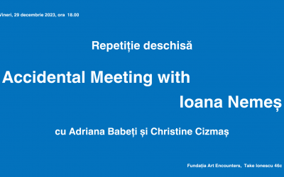 Accidental meeting with Ioana Nemeș: Repetiție deschisă cu Adriana Babeți și Christine Cizmaș